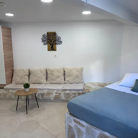 Olive Tree ,corfu Town * Corfu (city)