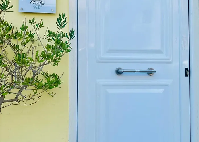 Olive Tree ,corfu Town Appartement Corfu (city)