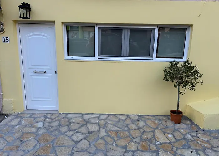 Olive Tree ,corfu Town