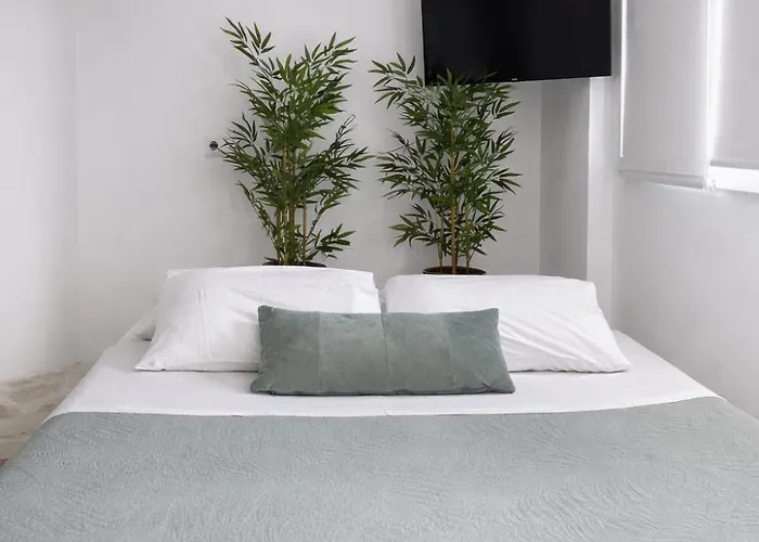 Olive Tree ,corfu Town