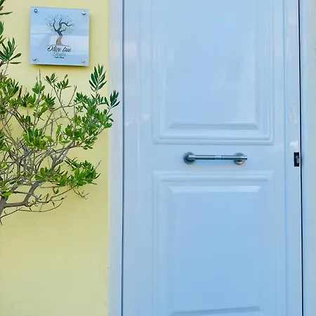 Olive Tree ,corfu Town דירה Corfu (city)