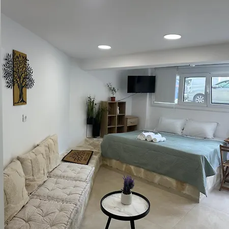 Olive Tree ,corfu Town *