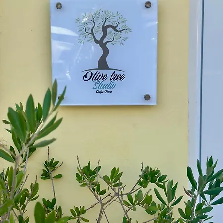 Olive Tree ,corfu Town Апартаменты Corfu (city)