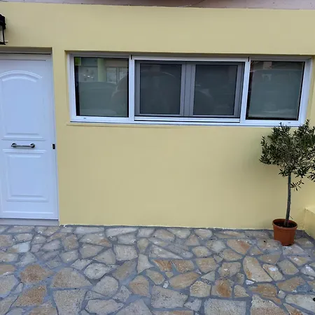 Olive Tree ,corfu Town