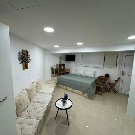 Olive Tree ,corfu Town