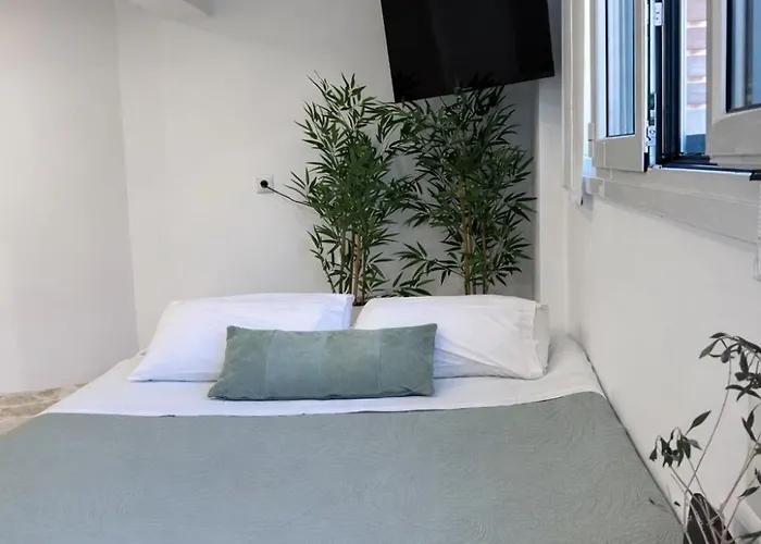 Olive Tree ,corfu Town